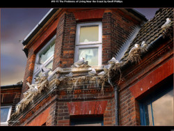 IMG023 (1) (1) (1) (1) (1) (1) (1) (1) (1) (1) (1) (1) (1) (1) (1) (1) (1) (1) (1) (1) (1) (1) (1) (1) (1) (1) (1) (1)