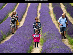 IMG023 (1) (1) (1) (1) (1) (1) (1) (1) (1) (1) (1) (1) (1) (1) (1) (1) (1) (1) (1) (1) (1) (1) (1) (1) (1) (1) (1) (1) (1)