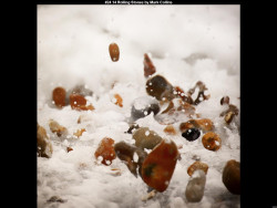 IMG023 (1) (1) (1) (1) (1) (1) (1) (1) (1) (1) (1) (1) (1) (1) (1) (1) (1) (1) (1) (1) (1) (1) (1) (1) (1) (1) (1) (1) (1) (1)