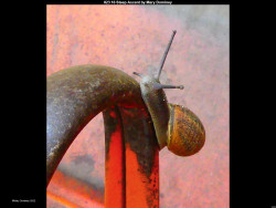 IMG023 (1) (1) (1) (1) (1) (1) (1) (1) (1) (1) (1) (1) (1) (1) (1) (1) (1) (1) (1) (1) (1) (1) (1) (1) (1) (1) (1) (1) (1) (1) (1) (1) (1) (1)