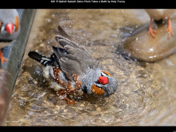 IMG023 (1) (1) (1) (1) (1) (1) (1) (1) (1) (1) (1) (1) (1) (1) (1) (1) (1) (1) (1) (1) (1) (1) (1) (1) (1) (1) (1) (1) (1) (1) (1) (1) (1) (1) (1) (1) (1) (1) (1) (1) (1)