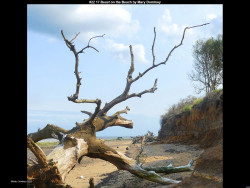 IMG023 (1) (1) (1) (1) (1) (1) (1) (1) (1) (1) (1) (1) (1) (1) (1) (1) (1) (1) (1) (1) (1) (1) (1) (1) (1) (1) (1) (1) (1) (1) (1) (1) (1) (1) (1) (1) (1) (1) (1) (1) (1) (1) (1) (1)