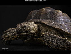 IMG023 (1) (1) (1) (1) (1) (1) (1) (1) (1) (1) (1) (1) (1) (1) (1) (1) (1) (1) (1) (1) (1) (1) (1) (1) (1) (1) (1) (1) (1) (1) (1) (1) (1) (1) (1) (1) (1) (1) (1) (1) (1) (1) (1) (1) (1)