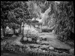 IMG023 (1) (1) (1) (1) (1) (1) (1) (1) (1) (1) (1) (1) (1) (1) (1) (1) (1) (1) (1) (1) (1) (1) (1) (1) (1) (1) (1) (1) (1) (1) (1) (1) (1) (1) (1) (1) (1) (1) (1) (1) (1) (1) (1) (1) (1) (1)