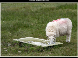 IMG023 (1) (1) (1) (1) (1) (1) (1) (1) (1) (1) (1) (1) (1) (1) (1) (1) (1) (1) (1) (1) (1) (1) (1) (1) (1) (1) (1) (1) (1) (1) (1) (1) (1) (1) (1) (1) (1) (1) (1) (1) (1) (1) (1) (1) (1) (1) (1) (1) (1)