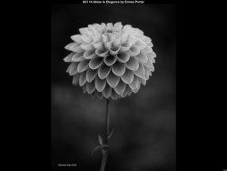 IMG023 (1) (1) (1) (1) (1) (1) (1) (1) (1) (1) (1) (1) (1) (1) (1) (1) (1) (1) (1) (1) (1) (1) (1) (1) (1) (1) (1) (1) (1) (1) (1) (1) (1) (1) (1) (1) (1) (1) (1) (1) (1) (1) (1) (1) (1) (1) (1) (1) (1) (1) (1) (1)