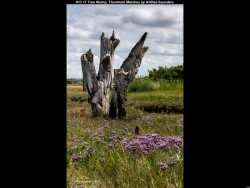 IMG024 (1) (1) (1) (1) (1) (1) (1) (1) (1)