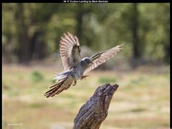 IMG024 (1) (1) (1) (1) (1) (1) (1) (1) (1) (1) (1) (1)