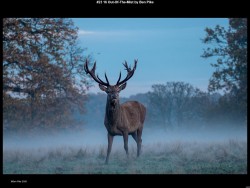 IMG024 (1) (1) (1) (1) (1) (1) (1) (1) (1) (1) (1) (1) (1)