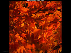 IMG024 (1) (1) (1) (1) (1) (1) (1) (1) (1) (1) (1) (1) (1) (1) (1) (1) (1) (1) (1)