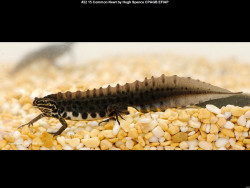 IMG024 (1) (1) (1) (1) (1) (1) (1) (1) (1) (1) (1) (1) (1) (1) (1) (1) (1) (1) (1) (1)