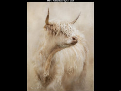 IMG024 (1) (1) (1) (1) (1) (1) (1) (1) (1) (1) (1) (1) (1) (1) (1) (1) (1) (1) (1) (1) (1) (1) (1) (1) (1)