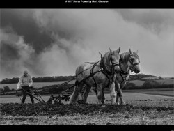 IMG024 (1) (1) (1) (1) (1) (1) (1) (1) (1) (1) (1) (1) (1) (1) (1) (1) (1) (1) (1) (1) (1) (1) (1) (1) (1) (1)