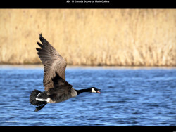 IMG024 (1) (1) (1) (1) (1) (1) (1) (1) (1) (1) (1) (1) (1) (1) (1) (1) (1) (1) (1) (1) (1) (1) (1) (1) (1) (1) (1) (1) (1) (1)