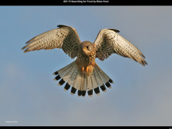 IMG024 (1) (1) (1) (1) (1) (1) (1) (1) (1) (1) (1) (1) (1) (1) (1) (1) (1) (1) (1) (1) (1) (1) (1) (1) (1) (1) (1) (1) (1) (1) (1) (1) (1)