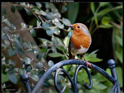 IMG024 (1) (1) (1) (1) (1) (1) (1) (1) (1) (1) (1) (1) (1) (1) (1) (1) (1) (1) (1) (1) (1) (1) (1) (1) (1) (1) (1) (1) (1) (1) (1) (1) (1) (1) (1) (1) (1)