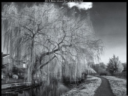 IMG024 (1) (1) (1) (1) (1) (1) (1) (1) (1) (1) (1) (1) (1) (1) (1) (1) (1) (1) (1) (1) (1) (1) (1) (1) (1) (1) (1) (1) (1) (1) (1) (1) (1) (1) (1) (1) (1) (1)