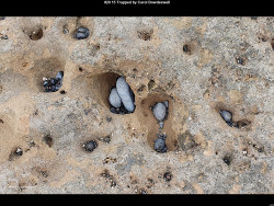 IMG024 (1) (1) (1) (1) (1) (1) (1) (1) (1) (1) (1) (1) (1) (1) (1) (1) (1) (1) (1) (1) (1) (1) (1) (1) (1) (1) (1) (1) (1) (1) (1) (1) (1) (1) (1) (1) (1) (1) (1)