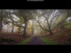 IMG024 (1) (1) (1) (1) (1) (1) (1) (1) (1) (1) (1) (1) (1) (1) (1) (1) (1) (1) (1) (1) (1) (1) (1) (1) (1) (1) (1) (1) (1) (1) (1) (1) (1) (1) (1) (1) (1) (1) (1) (1) (1) (1)