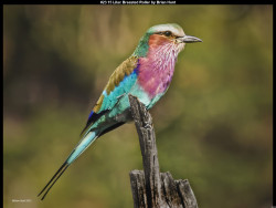 IMG024 (1) (1) (1) (1) (1) (1) (1) (1) (1) (1) (1) (1) (1) (1) (1) (1) (1) (1) (1) (1) (1) (1) (1) (1) (1) (1) (1) (1) (1) (1) (1) (1) (1) (1) (1) (1) (1) (1) (1) (1) (1) (1) (1) (1) (1) (1) (1)