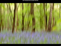 IMG025 (1) (1) (1) (1) (1) (1) (1) (1)