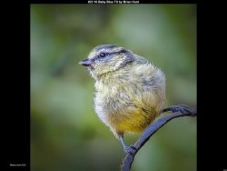 IMG025 (1) (1) (1) (1) (1) (1) (1) (1) (1) (1) (1) (1) (1)