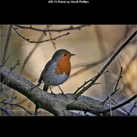 IMG025 (1) (1) (1) (1) (1) (1) (1) (1) (1) (1) (1) (1) (1) (1) (1) (1) (1) (1)