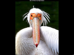 IMG025 (1) (1) (1) (1) (1) (1) (1) (1) (1) (1) (1) (1) (1) (1) (1) (1) (1) (1) (1) (1)