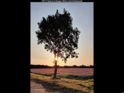 IMG025 (1) (1) (1) (1) (1) (1) (1) (1) (1) (1) (1) (1) (1) (1) (1) (1) (1) (1) (1) (1) (1) (1)