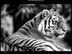 IMG025 (1) (1) (1) (1) (1) (1) (1) (1) (1) (1) (1) (1) (1) (1) (1) (1) (1) (1) (1) (1) (1) (1) (1) (1)