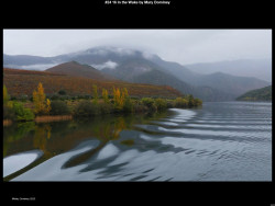 IMG025 (1) (1) (1) (1) (1) (1) (1) (1) (1) (1) (1) (1) (1) (1) (1) (1) (1) (1) (1) (1) (1) (1) (1) (1) (1) (1) (1) (1) (1) (1) (1) (1) (1) (1) (1) (1) (1) (1) (1) (1)