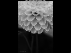 IMG025 (1) (1) (1) (1) (1) (1) (1) (1) (1) (1) (1) (1) (1) (1) (1) (1) (1) (1) (1) (1) (1) (1) (1) (1) (1) (1) (1) (1) (1) (1) (1) (1) (1) (1) (1) (1) (1) (1) (1) (1) (1) (1) (1)