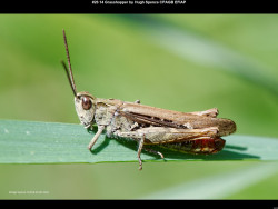 IMG025 (1) (1) (1) (1) (1) (1) (1) (1) (1) (1) (1) (1) (1) (1) (1) (1) (1) (1) (1) (1) (1) (1) (1) (1) (1) (1) (1) (1) (1) (1) (1) (1) (1) (1) (1) (1) (1) (1) (1) (1) (1) (1) (1) (1) (1) (1)