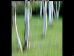 IMG026 (1) (1) (1) (1) (1) (1) (1) (1) (1)