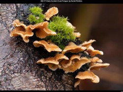 IMG026 (1) (1) (1) (1) (1) (1) (1) (1) (1) (1)