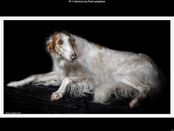 IMG026 (1) (1) (1) (1) (1) (1) (1) (1) (1) (1) (1) (1)