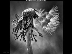 IMG026 (1) (1) (1) (1) (1) (1) (1) (1) (1) (1) (1) (1) (1) (1)