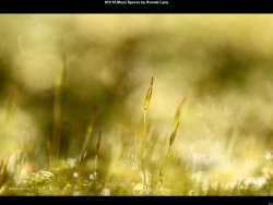 IMG026 (1) (1) (1) (1) (1) (1) (1) (1) (1) (1) (1) (1) (1) (1) (1)