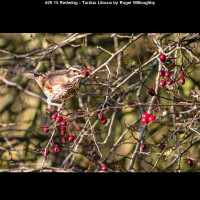 IMG026 (1) (1) (1) (1) (1) (1) (1) (1) (1) (1) (1) (1) (1) (1) (1) (1) (1) (1)