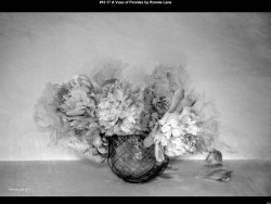 IMG026 (1) (1) (1) (1) (1) (1) (1) (1) (1) (1) (1) (1) (1) (1) (1) (1) (1) (1) (1) (1) (1) (1) (1)