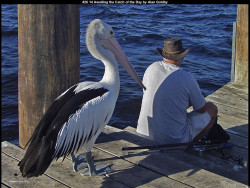 IMG026 (1) (1) (1) (1) (1) (1) (1) (1) (1) (1) (1) (1) (1) (1) (1) (1) (1) (1) (1) (1) (1) (1) (1) (1) (1)