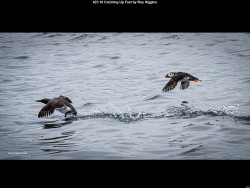 IMG026 (1) (1) (1) (1) (1) (1) (1) (1) (1) (1) (1) (1) (1) (1) (1) (1) (1) (1) (1) (1) (1) (1) (1) (1) (1) (1) (1) (1) (1)