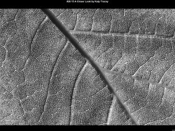 IMG026 (1) (1) (1) (1) (1) (1) (1) (1) (1) (1) (1) (1) (1) (1) (1) (1) (1) (1) (1) (1) (1) (1) (1) (1) (1) (1) (1) (1) (1) (1) (1)