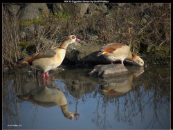 IMG026 (1) (1) (1) (1) (1) (1) (1) (1) (1) (1) (1) (1) (1) (1) (1) (1) (1) (1) (1) (1) (1) (1) (1) (1) (1) (1) (1) (1) (1) (1) (1) (1) (1) (1) (1) (1) (1)