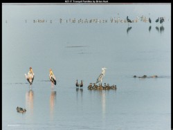 IMG027 (1) (1) (1) (1) (1) (1)