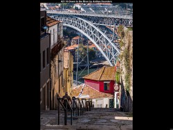 IMG027 (1) (1) (1) (1) (1) (1) (1) (1) (1) (1) (1)