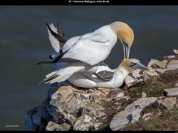 IMG027 (1) (1) (1) (1) (1) (1) (1) (1) (1) (1) (1) (1)