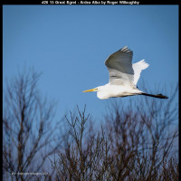 IMG027 (1) (1) (1) (1) (1) (1) (1) (1) (1) (1) (1) (1) (1) (1) (1) (1) (1)