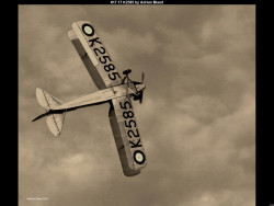 IMG027 (1) (1) (1) (1) (1) (1) (1) (1) (1) (1) (1) (1) (1) (1) (1) (1) (1) (1) (1) (1) (1) (1) (1) (1) (1) (1) (1) (1) (1) (1) (1)