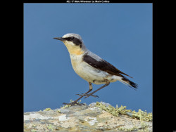 IMG027 (1) (1) (1) (1) (1) (1) (1) (1) (1) (1) (1) (1) (1) (1) (1) (1) (1) (1) (1) (1) (1) (1) (1) (1) (1) (1) (1) (1) (1) (1) (1) (1) (1) (1) (1) (1) (1)